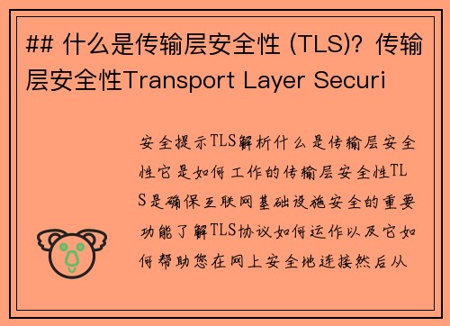 ## 什么是传输层安全性 (TLS)？传输层安全性Transport Layer Securi